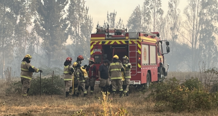 Voluntarios de Bomberos combatiendo incendio forestal en Cholchol