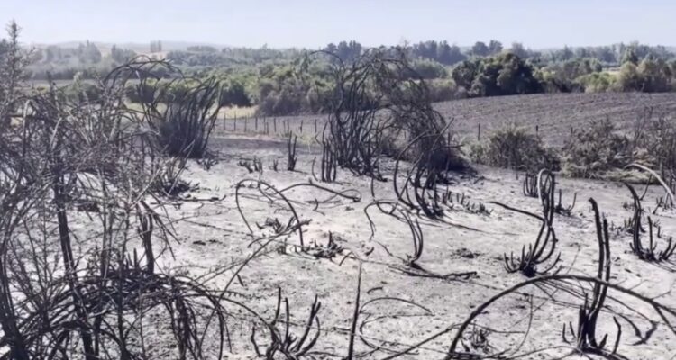 Roberto Neira – RBB 