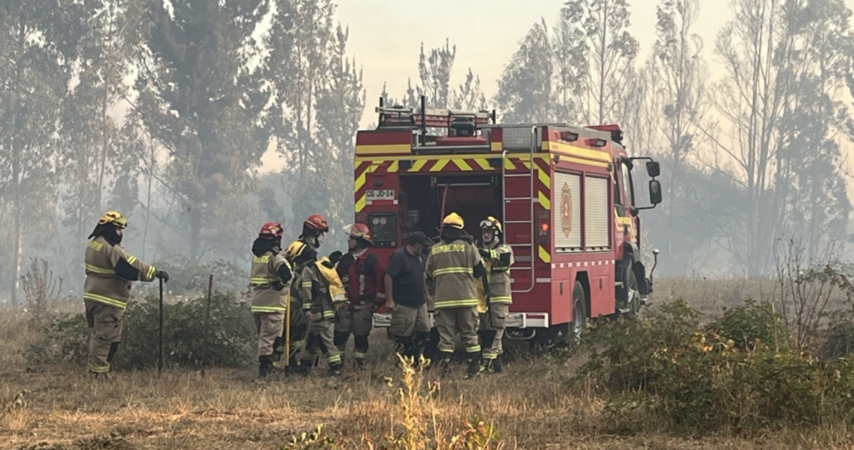 Voluntarios de Bomberos combatiendo incendio forestal en Cholchol