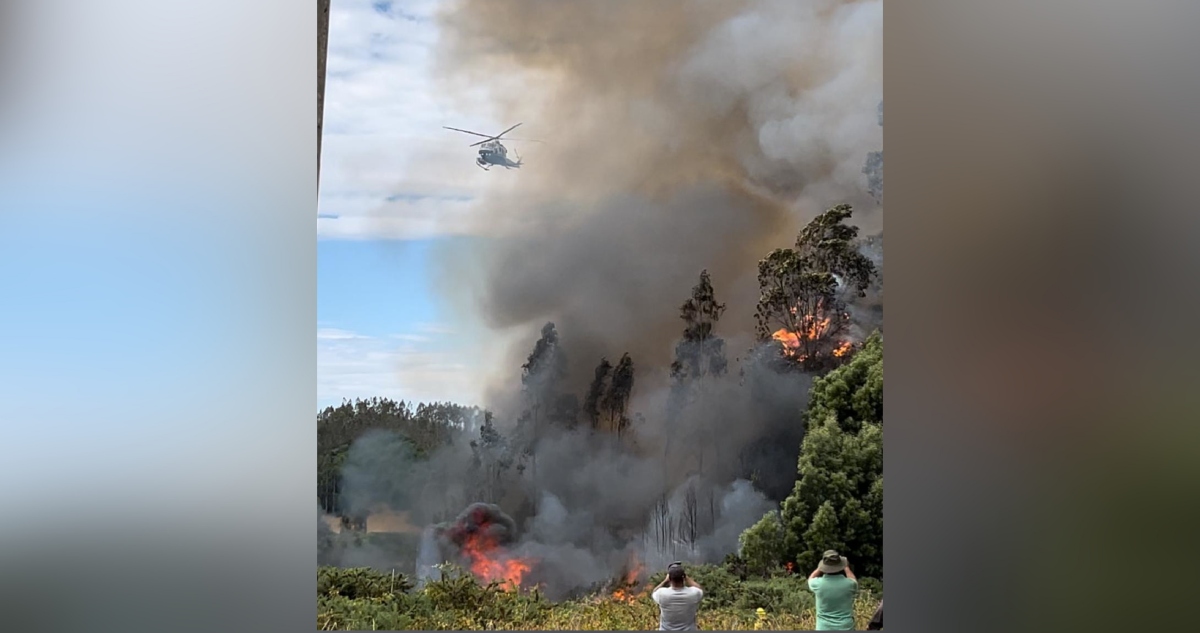 Incendio forestal en Nueva Imperial