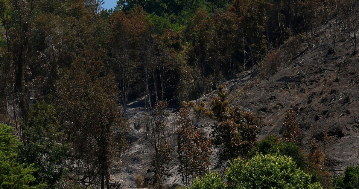 Daños por incendios forestales en el Bío Bío en el marco de entrega de viviendas definitivas