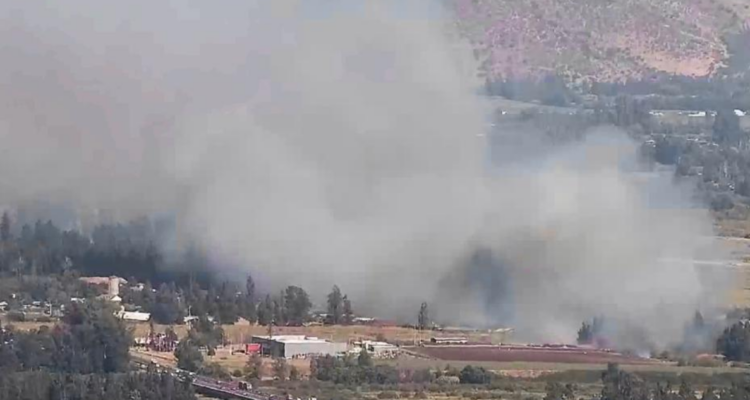 Senapred declara Alerta Roja en Talagante por incendio forestal que amenaza a viviendas