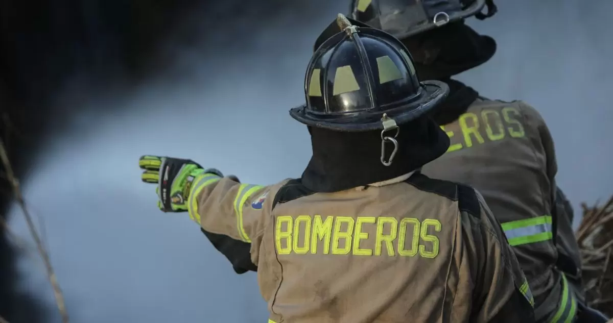 Decretan Alerta Amarilla para comuna de Maullín por incendio forestal: ha consumido casi 5 hectáreas