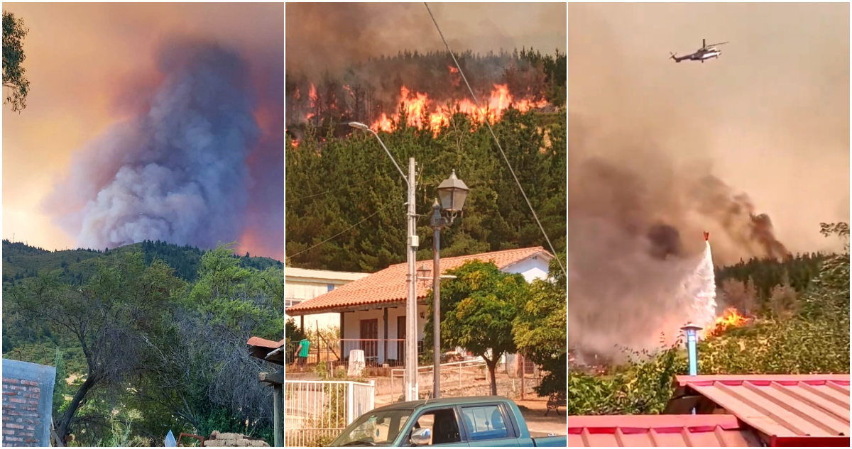 Senapred activa evacuación de sectores poblados en San Javier por incendio forestal fuera de control
