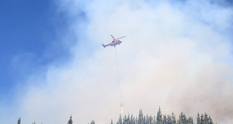 Preocupación en la región del Bío Bío ante claras evidencias de incendios forestales intencionales