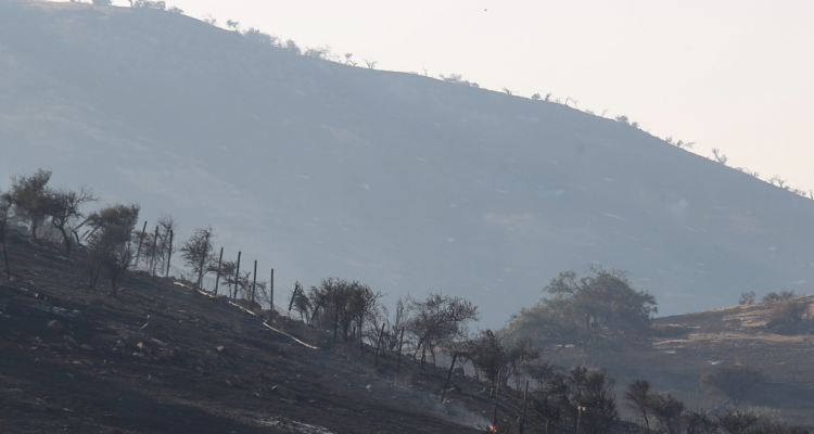 Siniestro por ley de incendios forestales