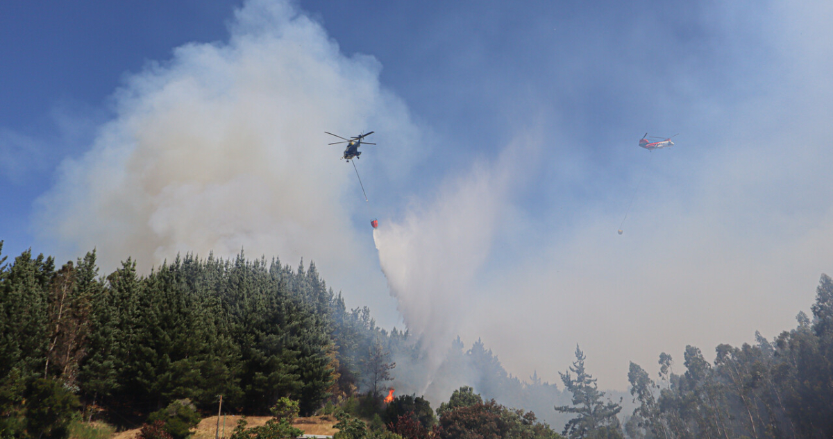 Más de 80 incendios forestales se han registrado en las últimas 24 horas a nivel nacional