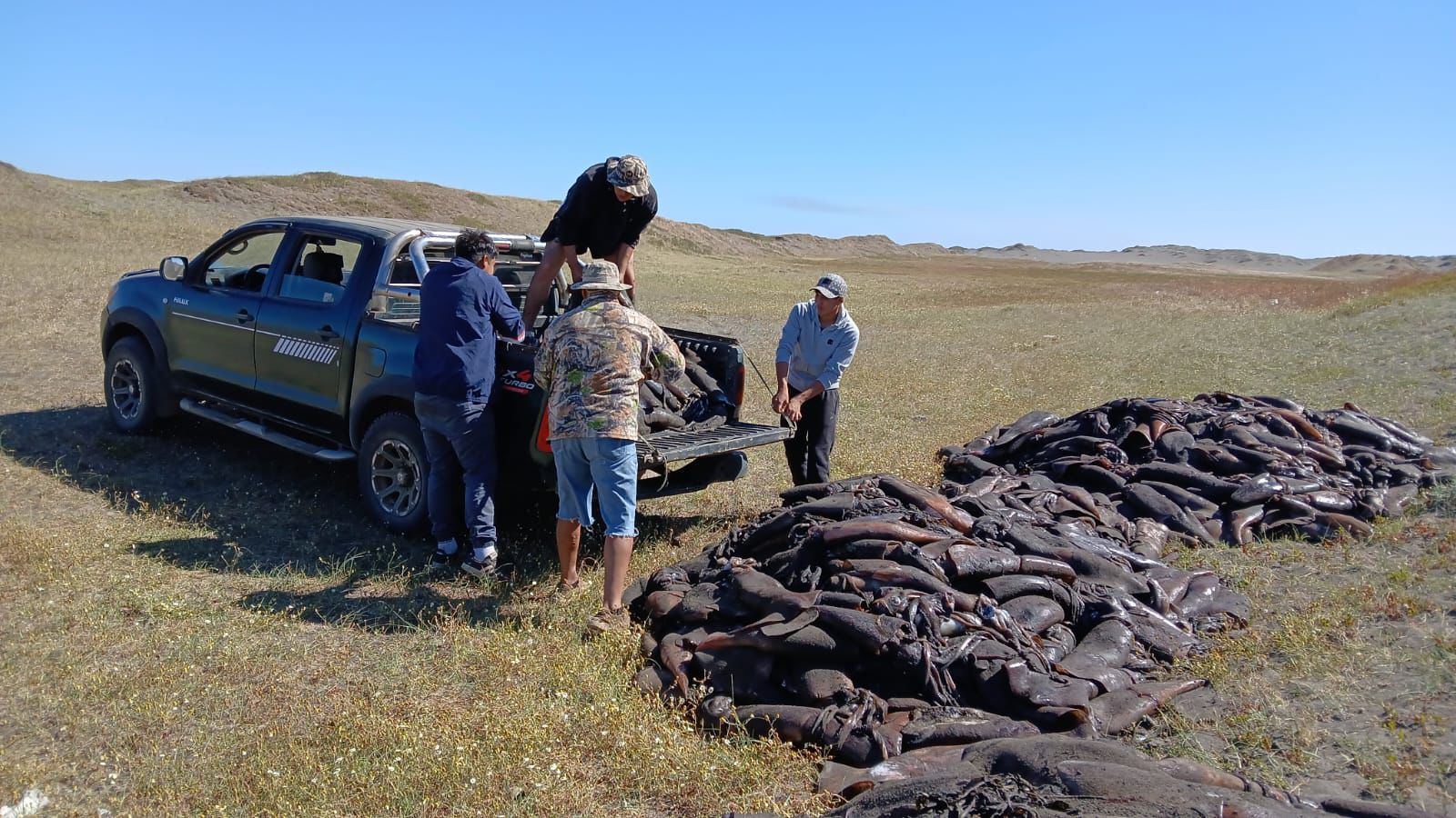 Varazón de Jibias en la región del Bío Bío