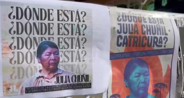 Pancarta con rostro de Julia Chuñil por manifestación de familiares