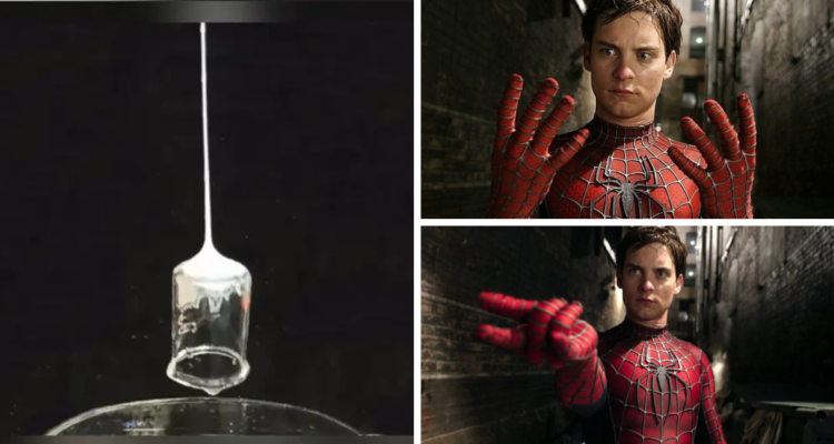 La ciencia consigue materializar la telaraña de Spiderman