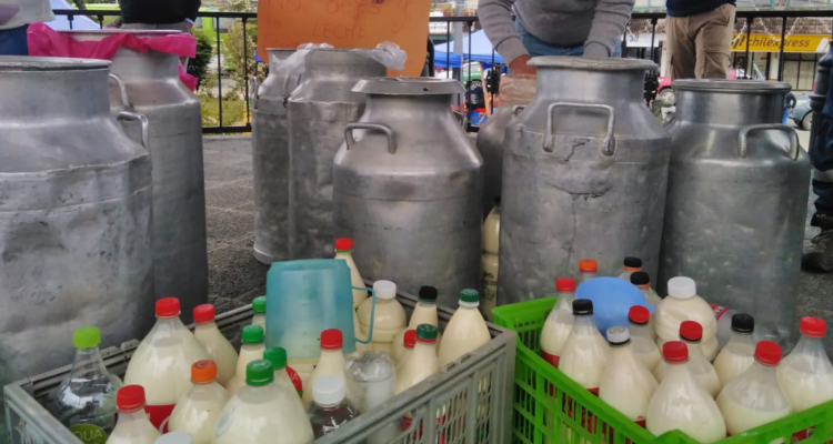 Leche regalada por productores en Ancud en protesta contra Chilolac