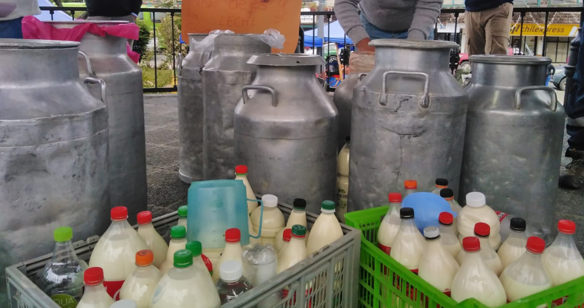 Leche regalada por productores en Ancud en protesta contra Chilolac