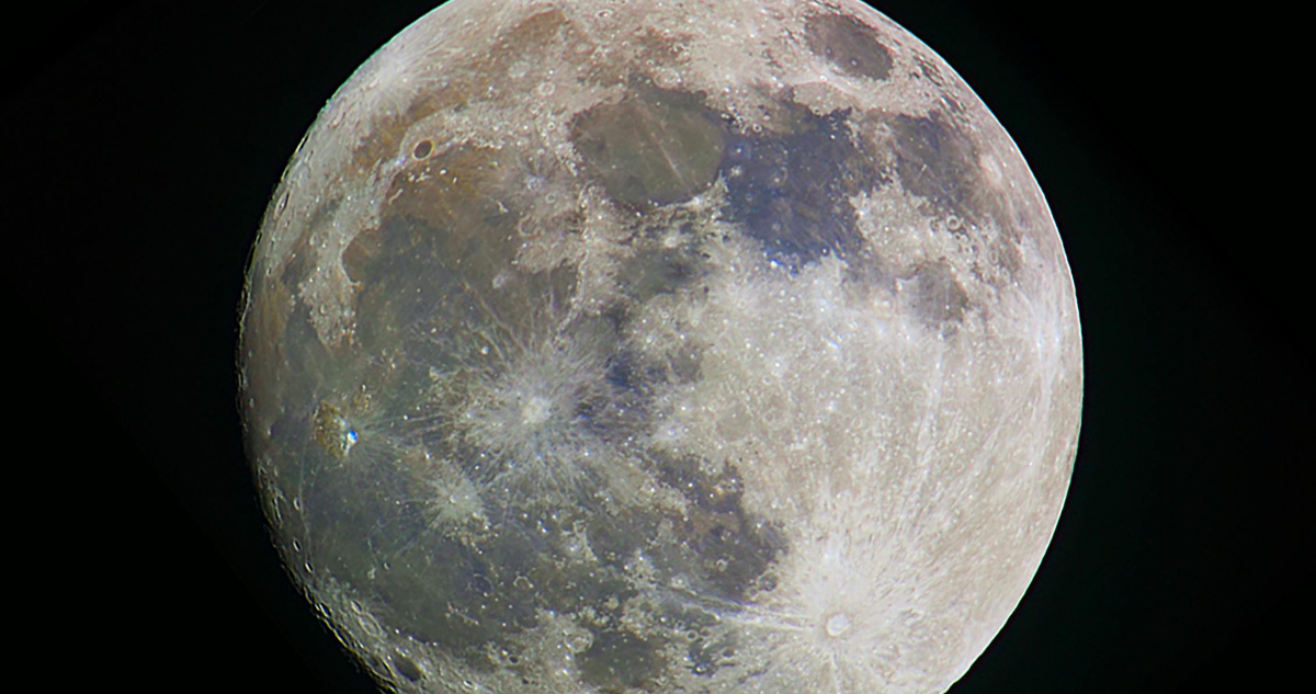 Luna del Lobo