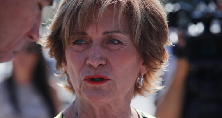 Matthei propone instalar obstáculos en la frontera como zanjas, muros, alambres y lugares dinamitados