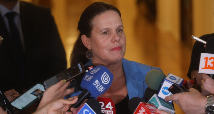 maya fernandez casa allende