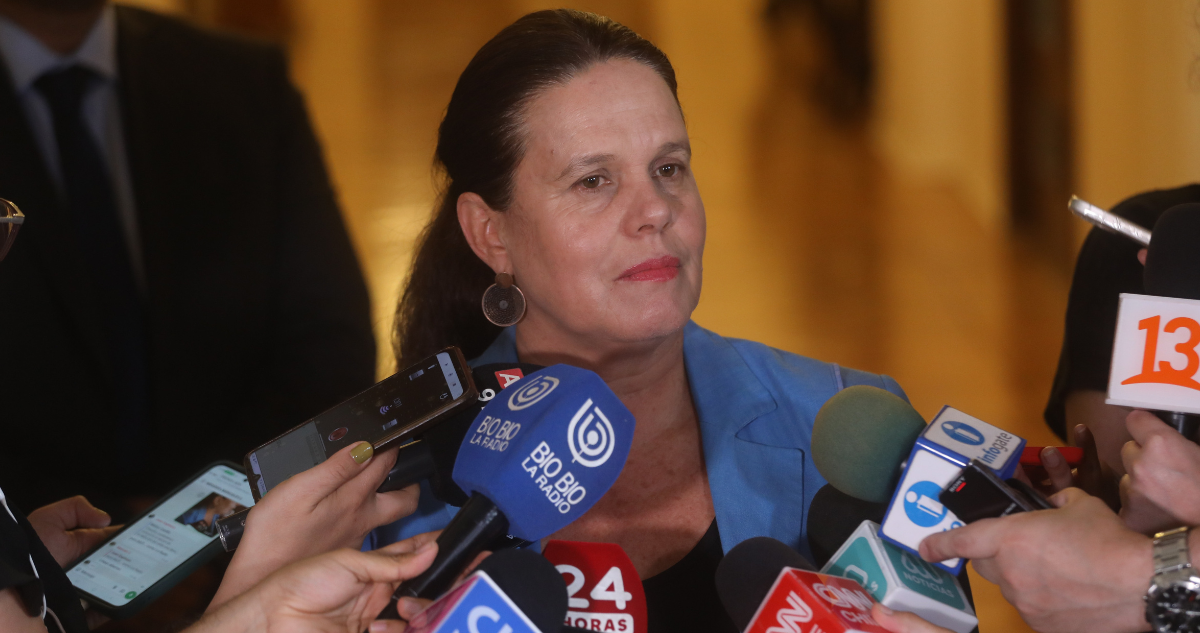maya fernandez casa allende