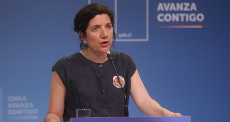 Ministra Etcheverry por requerimiento de Republicanos al TC: “No vemos la utilidad de la acción”