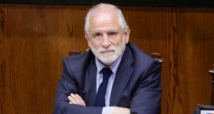 montes democracia viva