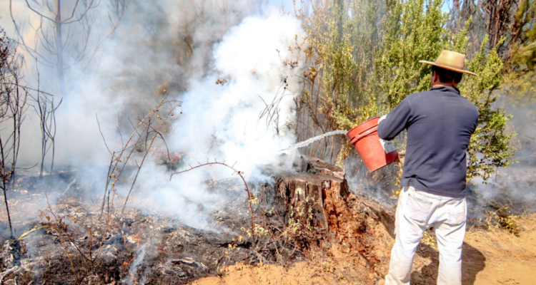 Con el fin de evitar los incendios forestales, la municipalidad de Santa Juana conformó la primera Red Comunitaria de Prevención de incendios forestales constituida por vecinos de diferentes sectores rurales de la comuna