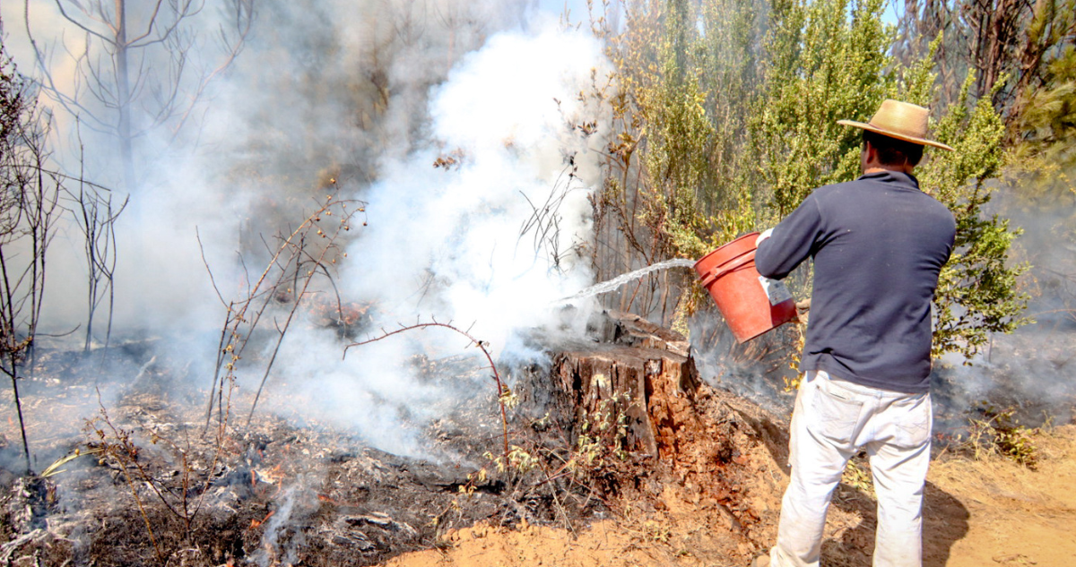 Con el fin de evitar los incendios forestales, la municipalidad de Santa Juana conformó la primera Red Comunitaria de Prevención de incendios forestales constituida por vecinos de diferentes sectores rurales de la comuna