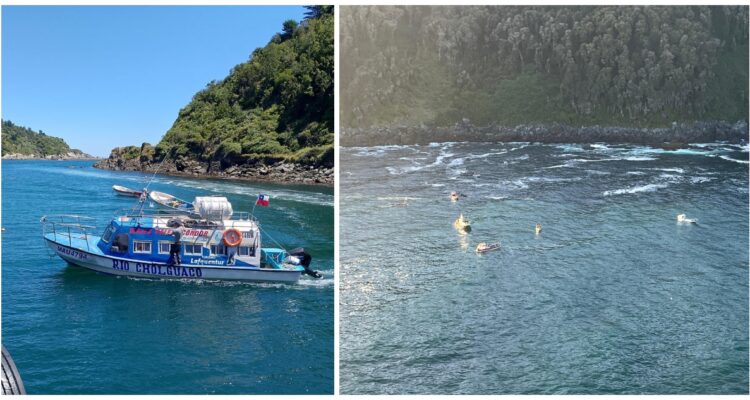 Ejército por militares que iban de pasajeros en embarcación que naufragó en Bahía Mansa