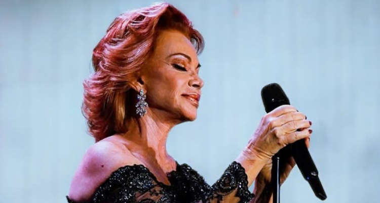 Fotografía de show de Paloma San Basilio en el Festival de Las Condes