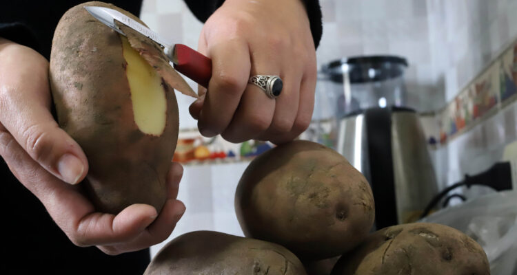 Gobierno valora indagación de la FNE que descartó colusión en precio de las papas