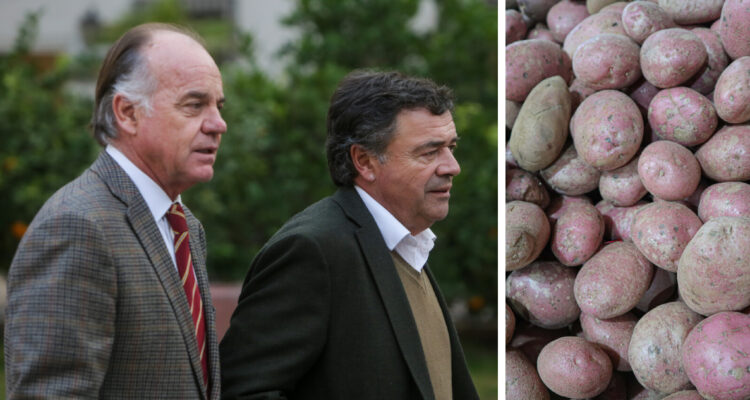 Sector agrícola destaca análisis de la FNE y dice que “es imposible una colusión” por venta de papas