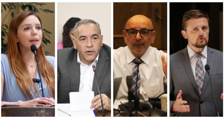 Parlamentarios cuestionan nombramiento de Figueroa en Bienes Nacionales: “Es de un amateurismo total”