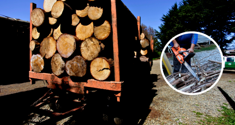 PDI detiene a tres sujetos por robo de madera en región de Los Ríos: incautaron camioneta y motosierra