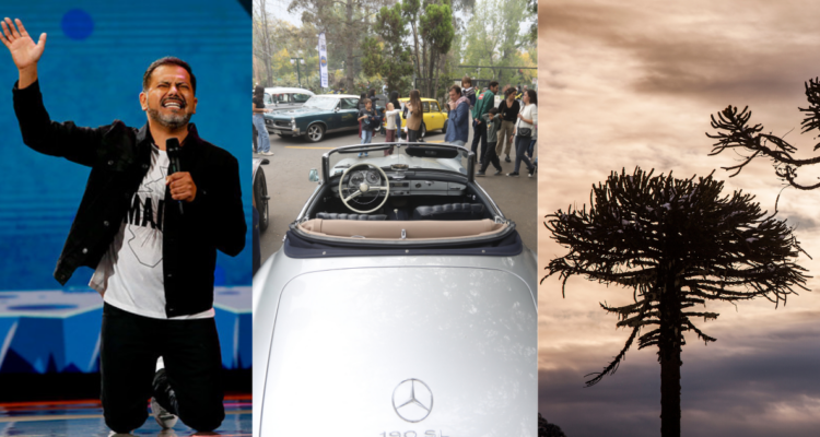 pedro-ruminot-coleccionistas-medio-ambiente-panoramas-la-araucania