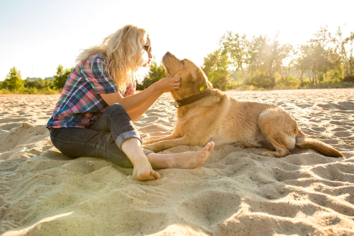 Perros pelaje largo en verano