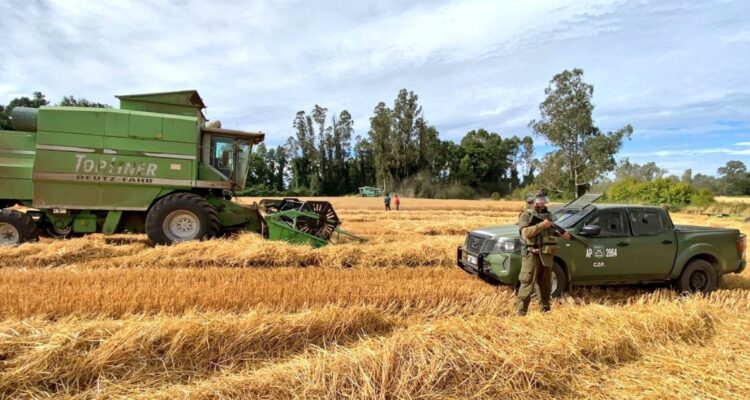 La Araucanía: Comienza a operar Plan de Seguridad Agroalimentaria para resguardar temporada de cosecha