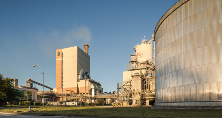 35 días de huelga: trabajadores de Planta Valdivia de Arauco evalúan manifestarse frente a La Moneda