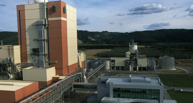 Valdivia: se mantiene huelga de sindicato de trabajadores de Celulosa Arauco tras no alcanzar acuerdos