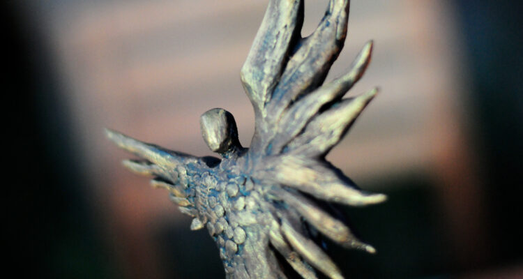 Premios Caleuche 2025 ganadores