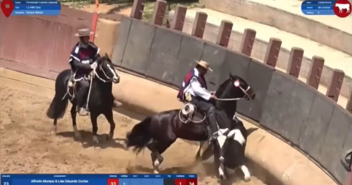 VAR del Rodeo Chileno