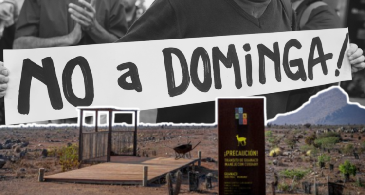 Debate por proyecto minero Dominga y los antecedentes del polémico proyecto