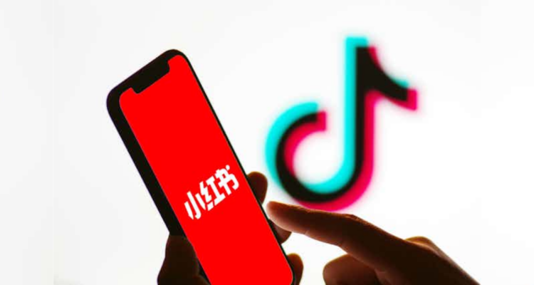 ¿Cómo funciona REDNote?