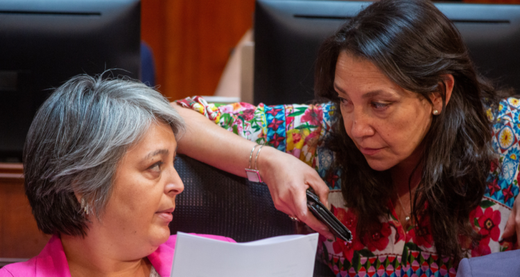 Ministra del Trabajo en tramitación de reforma previsional.