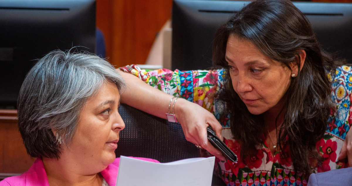 Ministra del Trabajo en tramitación de reforma previsional.