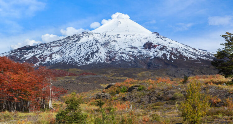 Actividades familiares en La Araucanía: Ruta de Tradiciones Campesinas y talleres deportivos