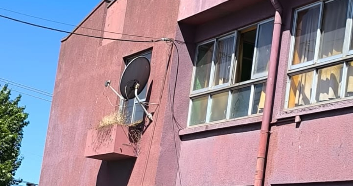 Robo en Escuela Libertad de Talcahuano