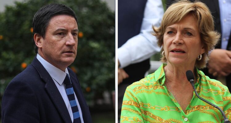 Squella acusa “falta de pronunciamiento” de Matthei por pensiones: “Busca no casarse con un grupo”