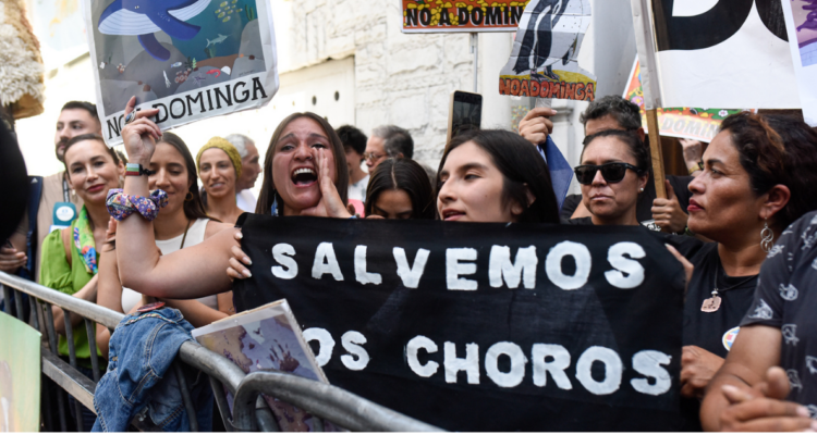 Representantes de la Alianza Pingüinos de Humboldt, de la región de Coquimbo, llegaron hasta las afueras del Ministerio de Medio Ambiente (MMA) para manifestarse mientras esperan la resolución del Comité de Ministros por el proyecto Dominga.