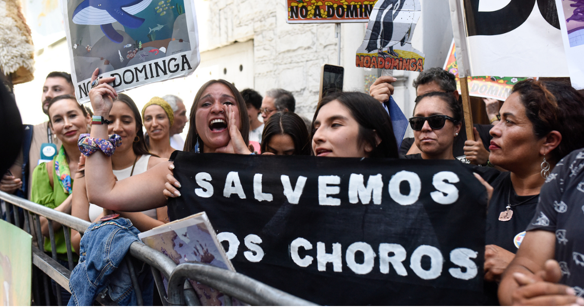Representantes de la Alianza Pingüinos de Humboldt, de la región de Coquimbo, llegaron hasta las afueras del Ministerio de Medio Ambiente (MMA) para manifestarse mientras esperan la resolución del Comité de Ministros por el proyecto Dominga.