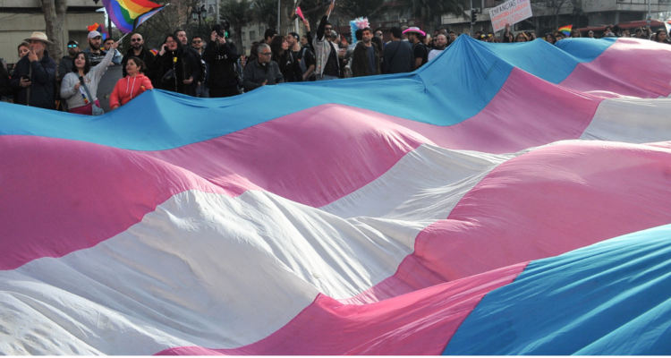 TC rechaza norma que prohibía que Minsal financie terapias hormonales de personas trans