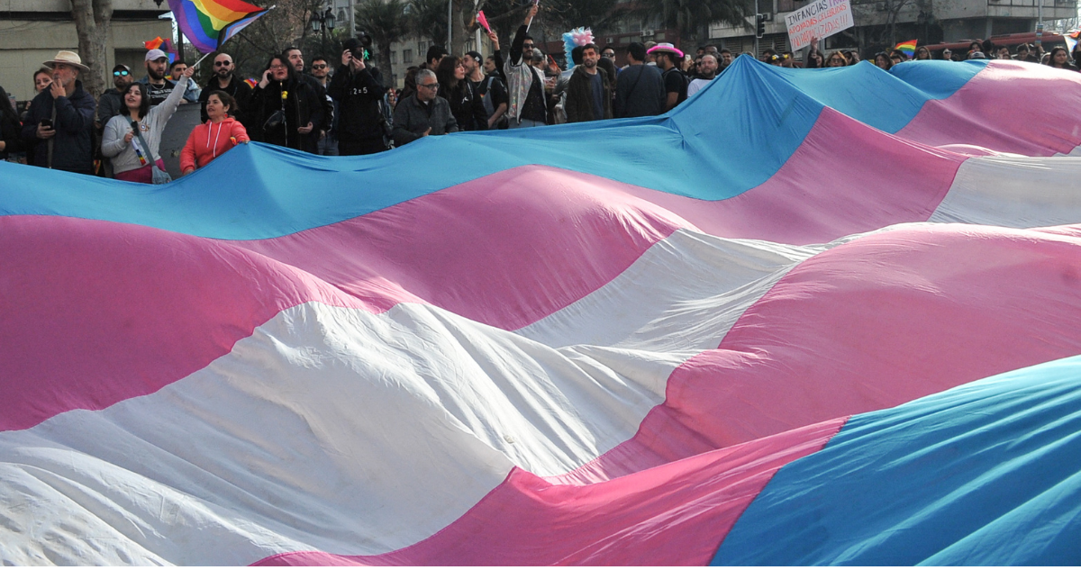 TC rechaza norma que prohibía que Minsal financie terapias hormonales de personas trans