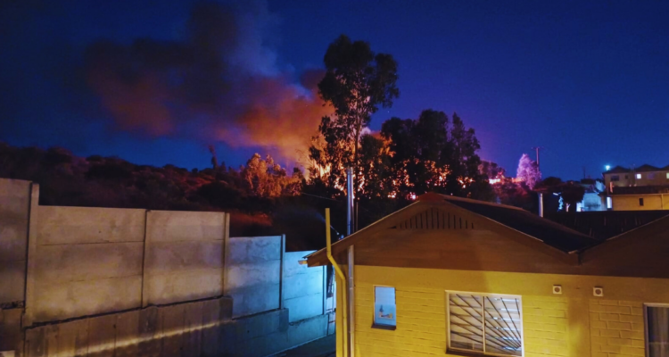 Incendio estructural se registra en comuna de Quilpué: una casa está completamente siniestrada