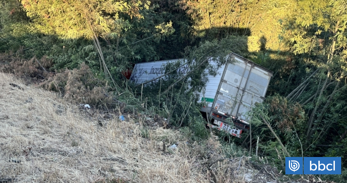 Camión cae en bypass de Temuco: conductor rescatado